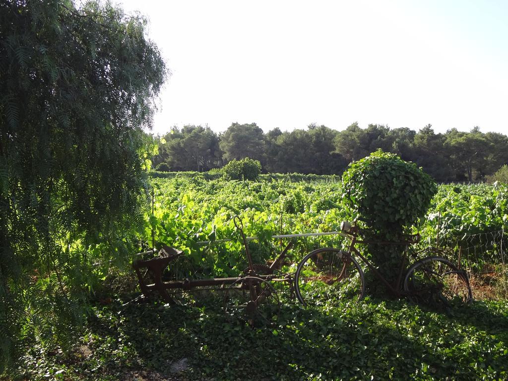 Bauernhof Sa Vinya D'en Palerm Sant Miquel de Balansat