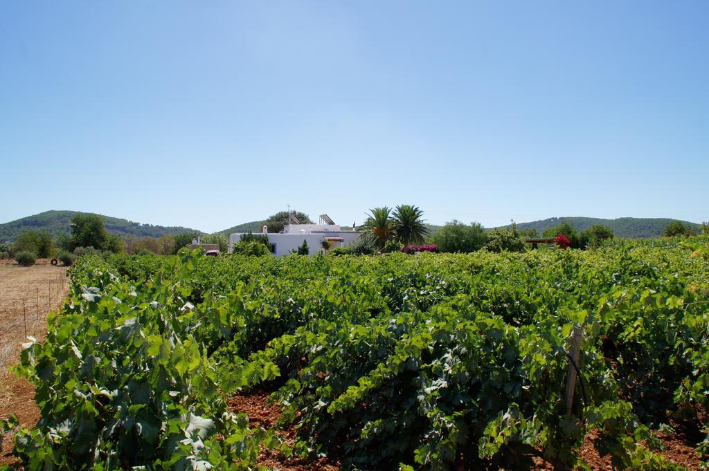 Sa Vinya D'en Palerm Bauernhof Sant Miquel de Balansat