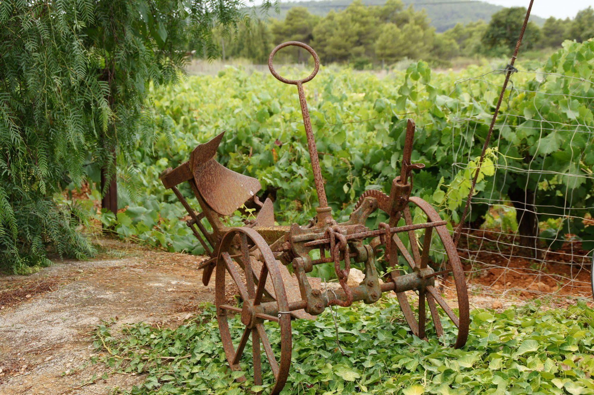 Sa Vinya D'en Palerm Bauernhof Sant Miquel de Balansat